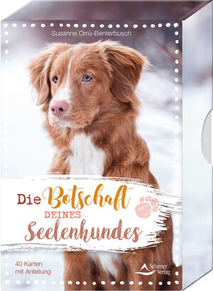 Buchcover Die Botschaft deines Seelenhundes | Susanne Orrù-Benterbusch | EAN 9783843491082 | ISBN 3-8434-9108-9 | ISBN 978-3-8434-9108-2