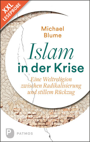 Buchcover XXL-Leseprobe: Islam in der Krise | Dr. Michael Blume | EAN 9783843610131 | ISBN 3-8436-1013-4 | ISBN 978-3-8436-1013-1