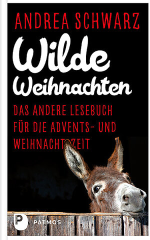 Buchcover Wilde Weihnachten | Andrea Schwarz | EAN 9783843610735 | ISBN 3-8436-1073-8 | ISBN 978-3-8436-1073-5