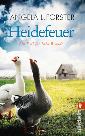 Buchcover Heidefeuer | Angela L. Forster | EAN 9783843712040 | ISBN 3-8437-1204-2 | ISBN 978-3-8437-1204-0