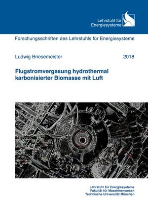 Buchcover Flugstromvergasung hydrothermal karbonisierter Biomasse mit Luft | Ludwig Briesemeister | EAN 9783843935586 | ISBN 3-8439-3558-0 | ISBN 978-3-8439-3558-6