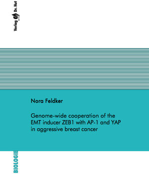 Buchcover Genome-wide cooperation of the EMT inducer ZEB1 with AP-1 and YAP in aggressive breast cancer | Nora Feldker | EAN 9783843947527 | ISBN 3-8439-4752-X | ISBN 978-3-8439-4752-7