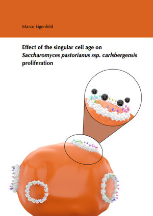 Buchcover Effect of the singular cell age on Saccharomyces pastorianus ssp. carlsbergensis proliferation | Marco Eigenfeld | EAN 9783843953825 | ISBN 3-8439-5382-1 | ISBN 978-3-8439-5382-5