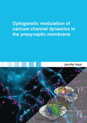 Buchcover Optogenetic modulation of calcium channel dynamics in the presynaptic membrane | Jennifer Heck | EAN 9783844068955 | ISBN 3-8440-6895-3 | ISBN 978-3-8440-6895-5