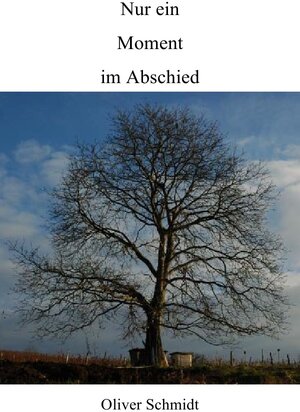 Buchcover Nur ein Moment im Abschied | Oliver Schmidt | EAN 9783844210460 | ISBN 3-8442-1046-6 | ISBN 978-3-8442-1046-0