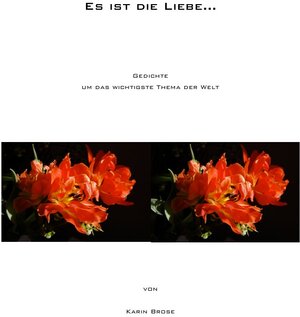 Buchcover Es ist die Liebe | Karin Brose | EAN 9783844230291 | ISBN 3-8442-3029-7 | ISBN 978-3-8442-3029-1
