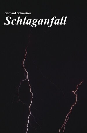 Buchcover Schlaganfall | Gerhard Schweizer | EAN 9783844298024 | ISBN 3-8442-9802-9 | ISBN 978-3-8442-9802-4