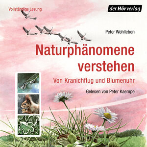 Buchcover Naturphänomene verstehen | Peter Wohlleben | EAN 9783844527483 | ISBN 3-8445-2748-6 | ISBN 978-3-8445-2748-3