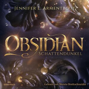 Buchcover Obsidian 1: Obsidian. Schattendunkel | Jennifer L. Armentrout | EAN 9783844910070 | ISBN 3-8449-1007-7 | ISBN 978-3-8449-1007-0