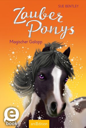 Buchcover Zauberponys – Magischer Galopp | Sue Bentley | EAN 9783845824000 | ISBN 3-8458-2400-X | ISBN 978-3-8458-2400-0