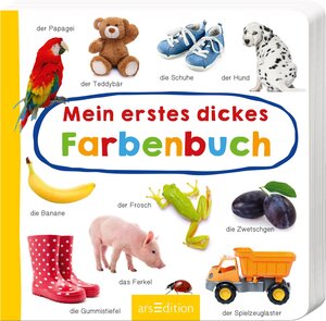 Buchcover Mein erstes dickes Farbenbuch  | EAN 9783845837338 | ISBN 3-8458-3733-0 | ISBN 978-3-8458-3733-8