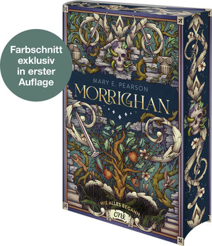 Buchcover Morrighan - Wie alles begann | Mary E. Pearson | EAN 9783846602317 | ISBN 3-8466-0231-0 | ISBN 978-3-8466-0231-7