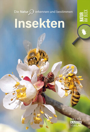 Buchcover Insekten  | EAN 9783846805053 | ISBN 3-8468-0505-X | ISBN 978-3-8468-0505-3