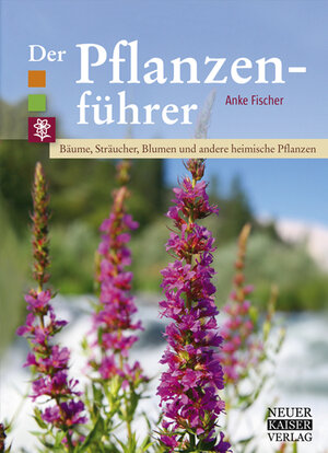 Buchcover Der Pflanzenführer | Anke Fischer | EAN 9783846810316 | ISBN 3-8468-1031-2 | ISBN 978-3-8468-1031-6