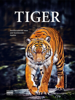 Buchcover Tiger | Paula Hammond | EAN 9783846830055 | ISBN 3-8468-3005-4 | ISBN 978-3-8468-3005-5