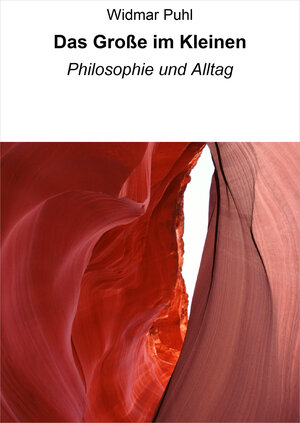 Buchcover Das Große im Kleinen | Widmar Puhl | EAN 9783847606987 | ISBN 3-8476-0698-0 | ISBN 978-3-8476-0698-7