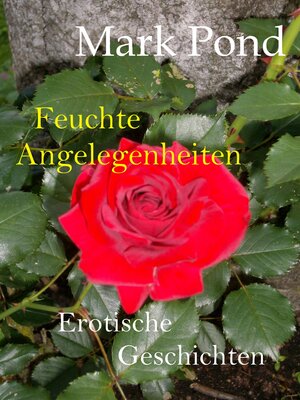 Buchcover Feuchte Angelegenheiten | Mark Pond | EAN 9783847641810 | ISBN 3-8476-4181-6 | ISBN 978-3-8476-4181-0