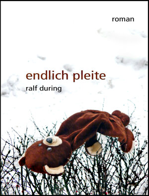 Buchcover endlich pleite | Ralf During | EAN 9783847645689 | ISBN 3-8476-4568-4 | ISBN 978-3-8476-4568-9