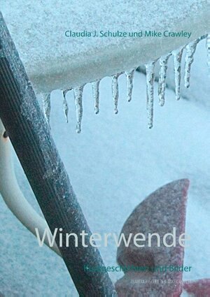 Buchcover Winterwende | Claudia J. Schulze | EAN 9783848226764 | ISBN 3-8482-2676-6 | ISBN 978-3-8482-2676-4