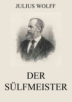 Buchcover Der Sülfmeister | Julius Wolff | EAN 9783849640316 | ISBN 3-8496-4031-0 | ISBN 978-3-8496-4031-6