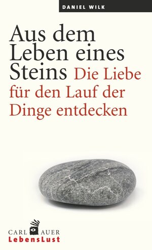 Buchcover Aus dem Leben eines Steins | Daniel Wilk | EAN 9783849700379 | ISBN 3-8497-0037-2 | ISBN 978-3-8497-0037-9