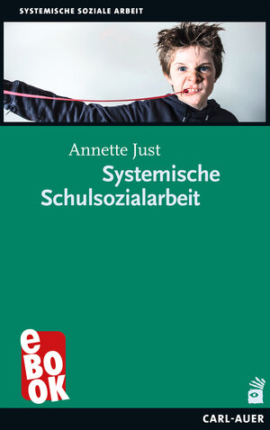 Buchcover Systemische Schulsozialarbeit | Annette Just | EAN 9783849780586 | ISBN 3-8497-8058-9 | ISBN 978-3-8497-8058-6