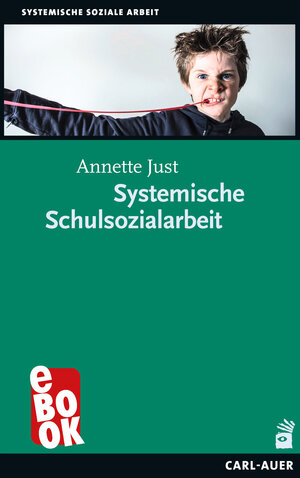 Buchcover Systemische Schulsozialarbeit | Annette Just | EAN 9783849780708 | ISBN 3-8497-8070-8 | ISBN 978-3-8497-8070-8