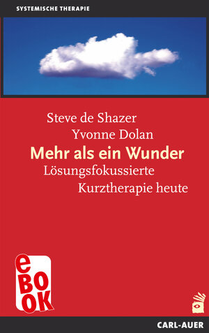 Buchcover Mehr als ein Wunder | Steve de Shazer | EAN 9783849782535 | ISBN 3-8497-8253-0 | ISBN 978-3-8497-8253-5