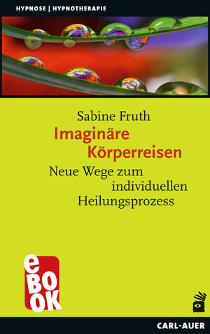 Buchcover Imaginäre Körperreisen | Sabine Fruth | EAN 9783849782641 | ISBN 3-8497-8264-6 | ISBN 978-3-8497-8264-1