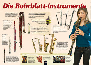 Buchcover Poster Sekundarstufe: Die Rohrblattinstrumente | EAN 9783850615952 | ISBN 3-85061-595-2 | ISBN 978-3-85061-595-2