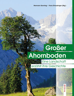 Buchcover Großer Ahornboden | Hermann Sonntag | EAN 9783850933322 | ISBN 3-85093-332-6 | ISBN 978-3-85093-332-2