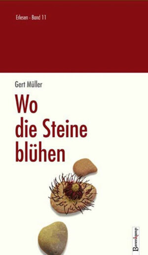 Buchcover Wo die Steine blühen | Gert Müller | EAN 9783850939102 | ISBN 3-85093-910-3 | ISBN 978-3-85093-910-2
