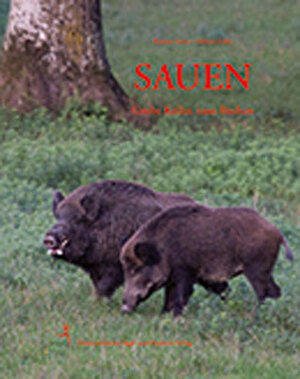 Buchcover Sauen | Hubert Zeiler | EAN 9783852081243 | ISBN 3-85208-124-6 | ISBN 978-3-85208-124-3