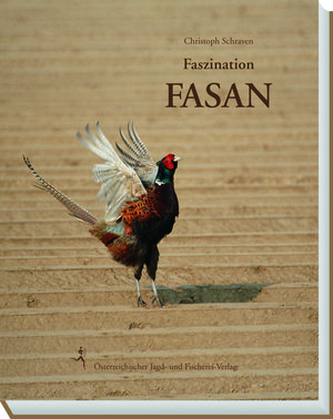 Buchcover Faszination Fasan | Schraven Christoph | EAN 9783852081403 | ISBN 3-85208-140-8 | ISBN 978-3-85208-140-3