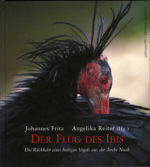 Buchcover Der Flug des Ibis | Angelika Reiter | EAN 9783852525426 | ISBN 3-85252-542-X | ISBN 978-3-85252-542-6