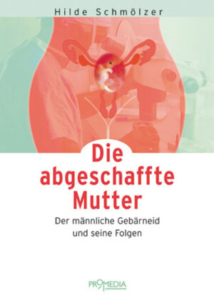 Buchcover Die abgeschaffte Mutter | Hilde Schmölzer | EAN 9783853712412 | ISBN 3-85371-241-X | ISBN 978-3-85371-241-2