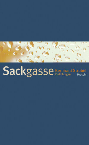 Buchcover Sackgasse | Bernhard Strobel | EAN 9783854209256 | ISBN 3-85420-925-8 | ISBN 978-3-85420-925-6