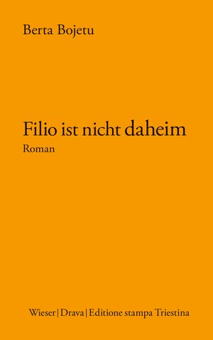 Buchcover Filio ist nicht daheim | Berta Bojetu | EAN 9783854359388 | ISBN 3-85435-938-1 | ISBN 978-3-85435-938-8
