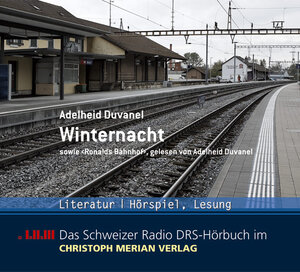 Buchcover Winternacht | Adelheid Duvanel | EAN 9783856163204 | ISBN 3-85616-320-4 | ISBN 978-3-85616-320-4