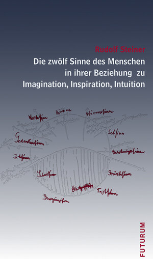 Buchcover Die zwölf Sinne des Menschen in ihrer Beziehung zu Imagination, Inspiration und Intuition | Rudolf Steiner | EAN 9783856363659 | ISBN 3-85636-365-3 | ISBN 978-3-85636-365-9