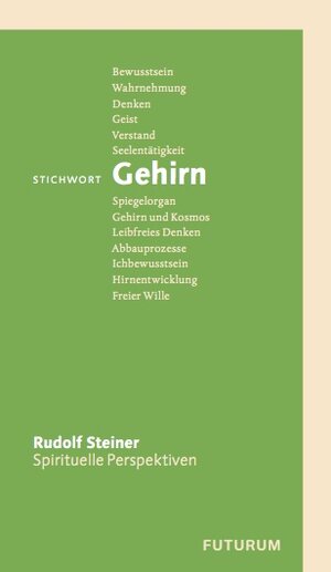 Buchcover Stichwort Gehirn | Rudolf Steiner | EAN 9783856363819 | ISBN 3-85636-381-5 | ISBN 978-3-85636-381-9