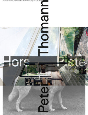 Buchcover Peter Thomann | EAN 9783856764807 | ISBN 3-85676-480-1 | ISBN 978-3-85676-480-7