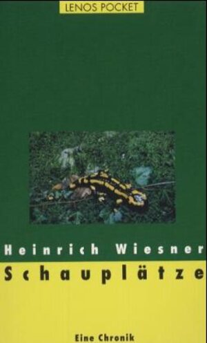 Buchcover Schauplätze | Heinrich Wiesner | EAN 9783857876554 | ISBN 3-85787-655-7 | ISBN 978-3-85787-655-4