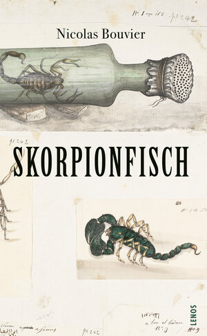 Buchcover Skorpionfisch | Nicolas Bouvier | EAN 9783857878473 | ISBN 3-85787-847-9 | ISBN 978-3-85787-847-3