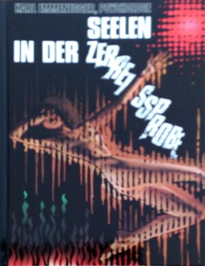 Buchcover Seelen in der Zerreissprobe | Karl Emmenegger | EAN 9783858200488 | ISBN 3-85820-048-4 | ISBN 978-3-85820-048-8