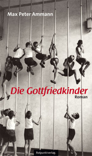Buchcover Die Gottfriedkinder | Max Peter Ammann | EAN 9783858694416 | ISBN 3-85869-441-X | ISBN 978-3-85869-441-6