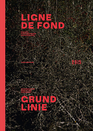 Buchcover Yann Mingard – Grundlinie  | EAN 9783858814975 | ISBN 3-85881-497-0 | ISBN 978-3-85881-497-5