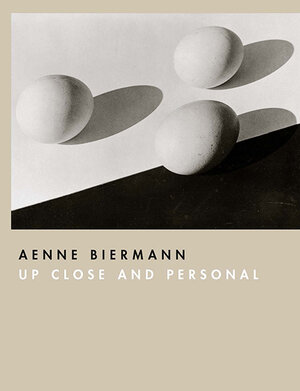 Buchcover Aenne Biermann  | EAN 9783858818829 | ISBN 3-85881-882-8 | ISBN 978-3-85881-882-9