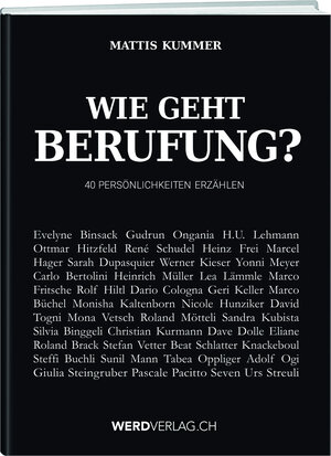 Buchcover Wie geht Berufung? | Mattis Kummer | EAN 9783859328129 | ISBN 3-85932-812-3 | ISBN 978-3-85932-812-9