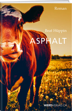 Buchcover Asphalt | Beat Hüppin | EAN 9783859328488 | ISBN 3-85932-848-4 | ISBN 978-3-85932-848-8